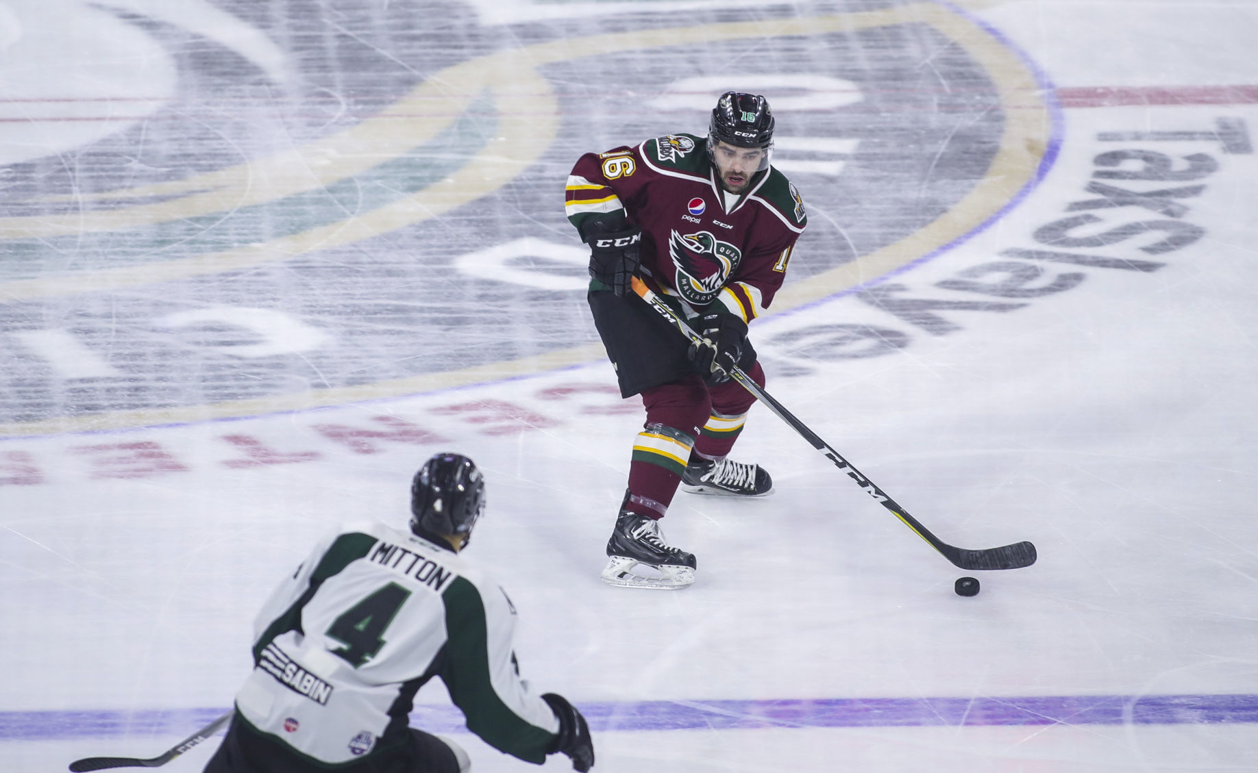 022818-UTAH-GRIZZLIES-QC-MALLARDS-021